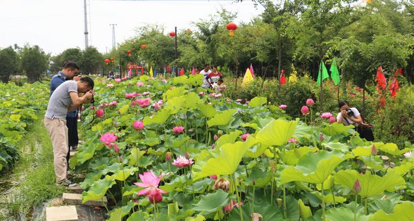 1500626304277641.jpg 14999976916785935.jpg